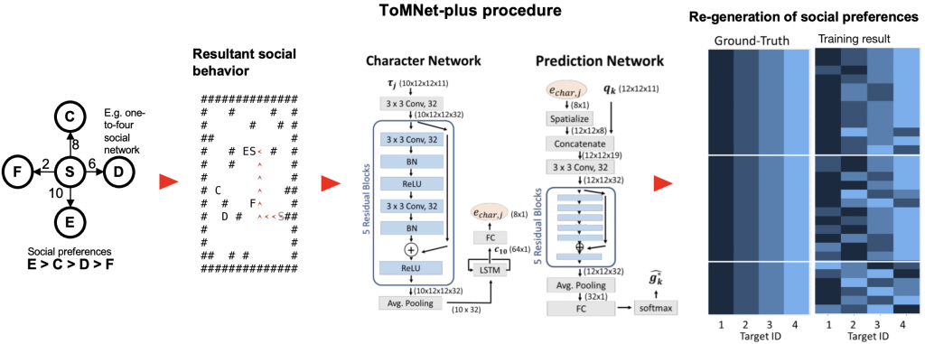 ToMNet+ procedure