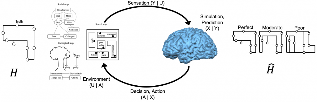 Bayesian entropy conversion cycle